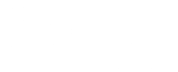Roroh logo